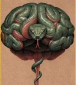 Kaal Sarpa Dosh  : A Tool … To Fool !